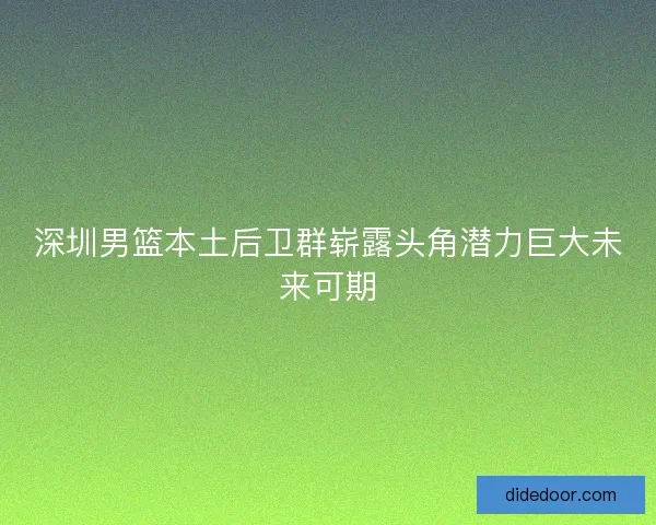 深圳男篮本土后卫群崭露头角潜力巨大未来可期